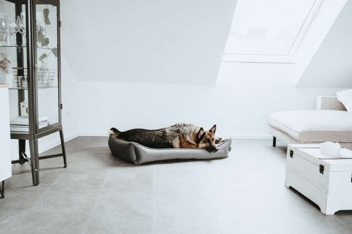 HUNTER Orthopädisches Hundesofa Merida